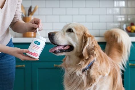 azogyl|Clinical Outcomes of Azodyl Administration in Three Dogs with .